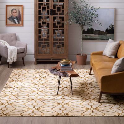 living room area rug